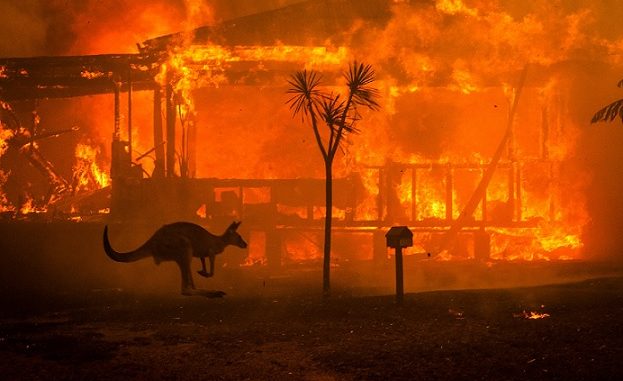 Réchauffement climatique, grosse mite ou raelité ? (2) - Page 16 Australie-en-feu--623x381