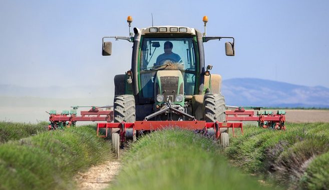 Agriculteurs cat 01