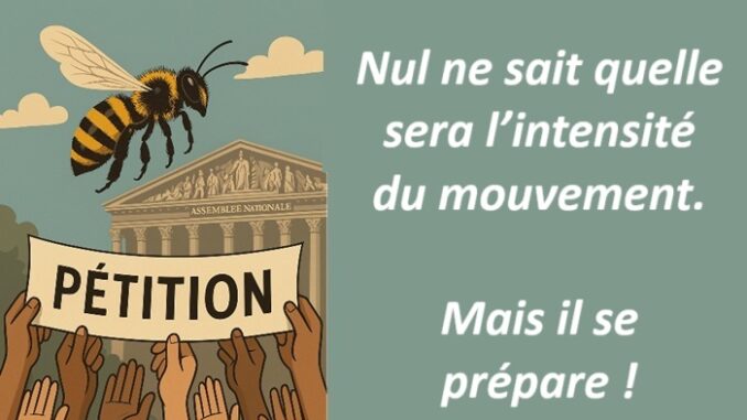 Petition art 10